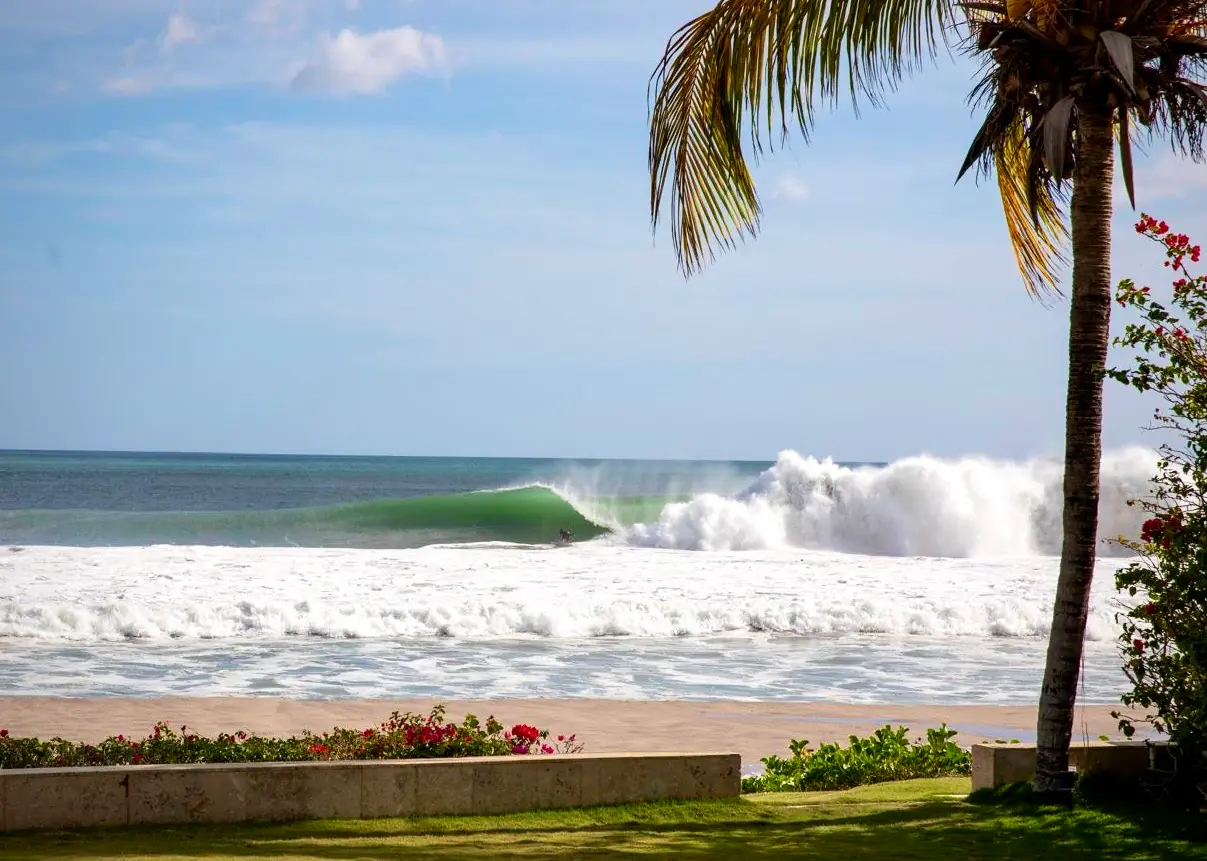 Playa Colorado wave framed by a palm tree
