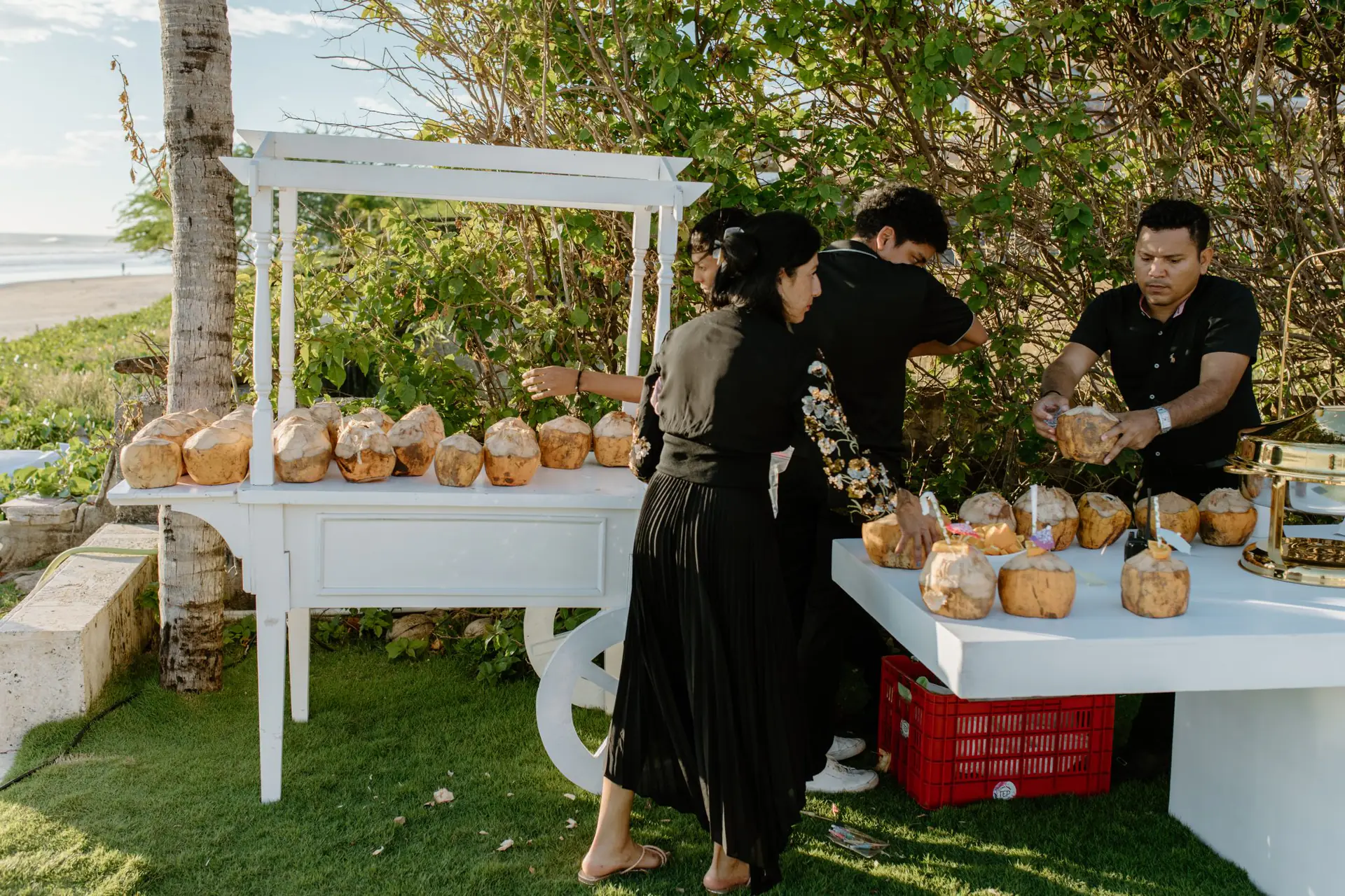 Wedding guests celebrating at Casa Colorados